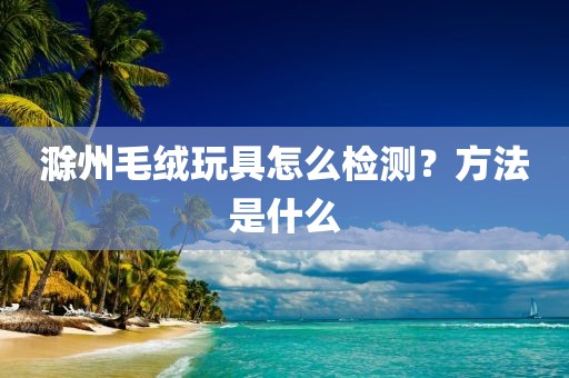 滁州毛绒玩具怎么检测？方法是什么